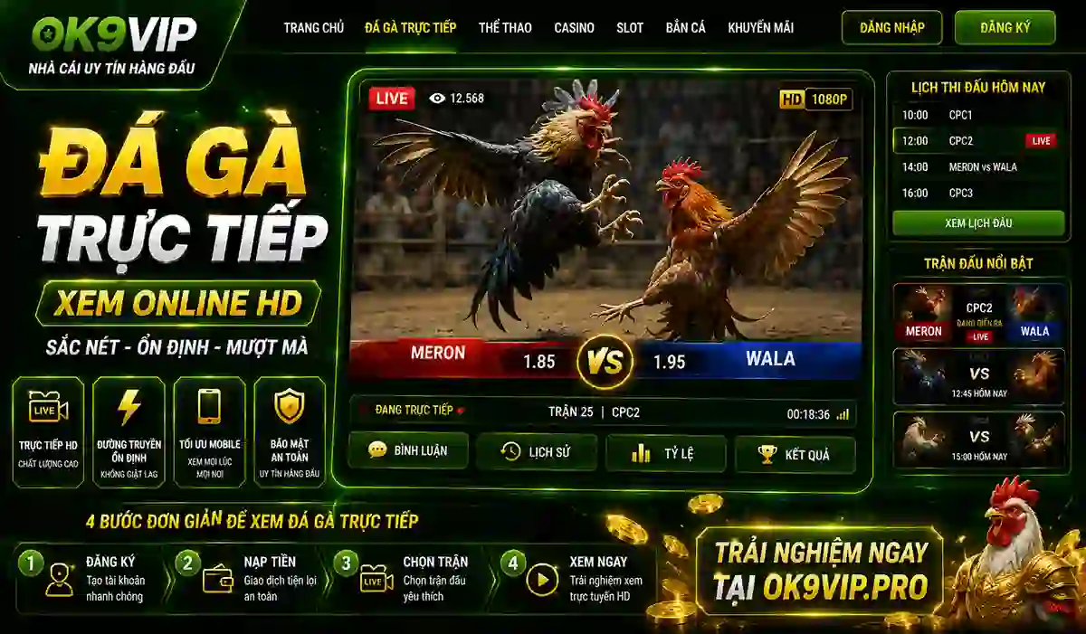 Đá gà trực tiếp giao diện hiện đại tối ưu mobile